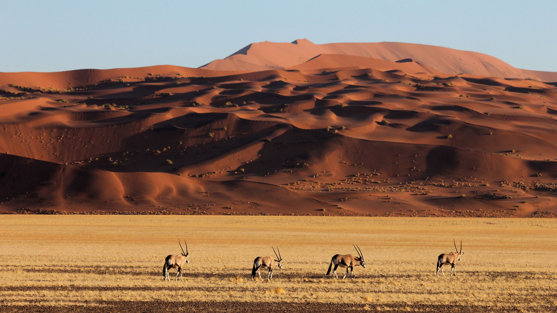 Namibia desert